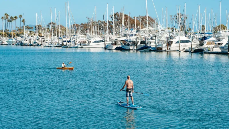 Paddling for Profit: The Scrappy Entrepreneurs Turning SUP Into a Living